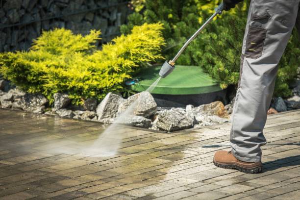 Best Fence Cleaning  in Marlette, MI