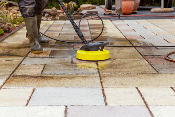 Best House Exterior Washing  in Marlette, MI
