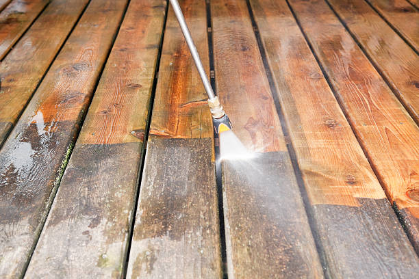 Best Dumpster Area Cleaning  in Marlette, MI